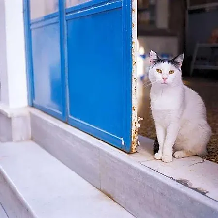 Naxos Cental Double Semi Basement Private Balcony 200m From